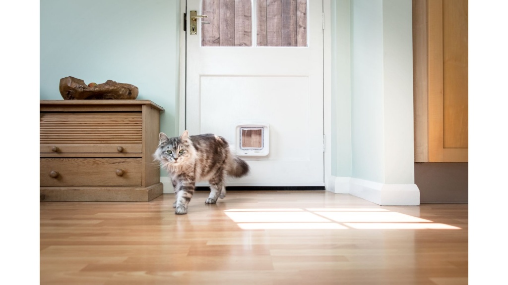 Katzenklappe von SureFlap bei Glas Voit