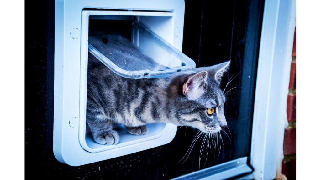 Katzenklappe im Fenster oder der Balkontüre