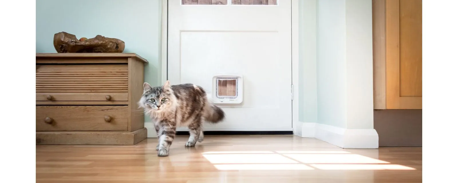 Katzenklappe von SureFlap bei Glas Voit